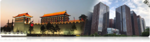 contact_bg2