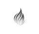 fhir