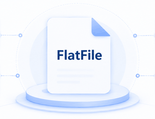 知行之桥EDI系统——FlatFile 端口介绍